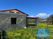 Sivas Kreta, Sivas: Steinhäuser - zwei Doppelhaushälften - zu verkaufen Haus kaufen